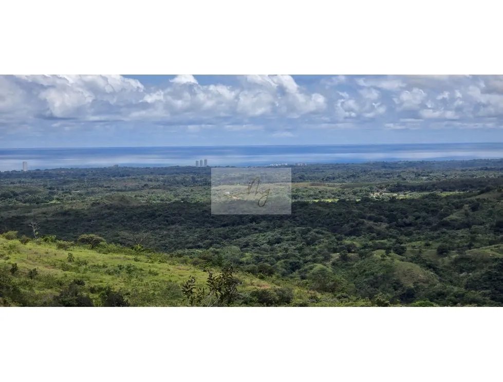 TERRENO EN VENTA | CABUYA, CHAME