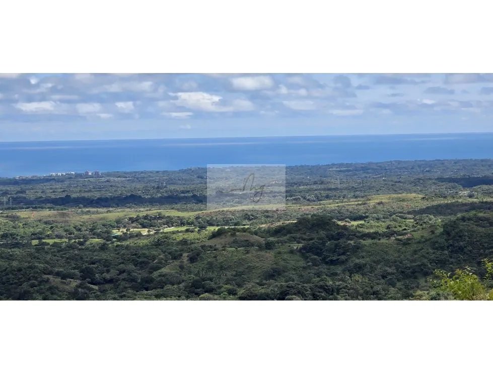 TERRENO EN VENTA | CABUYA, CHAME