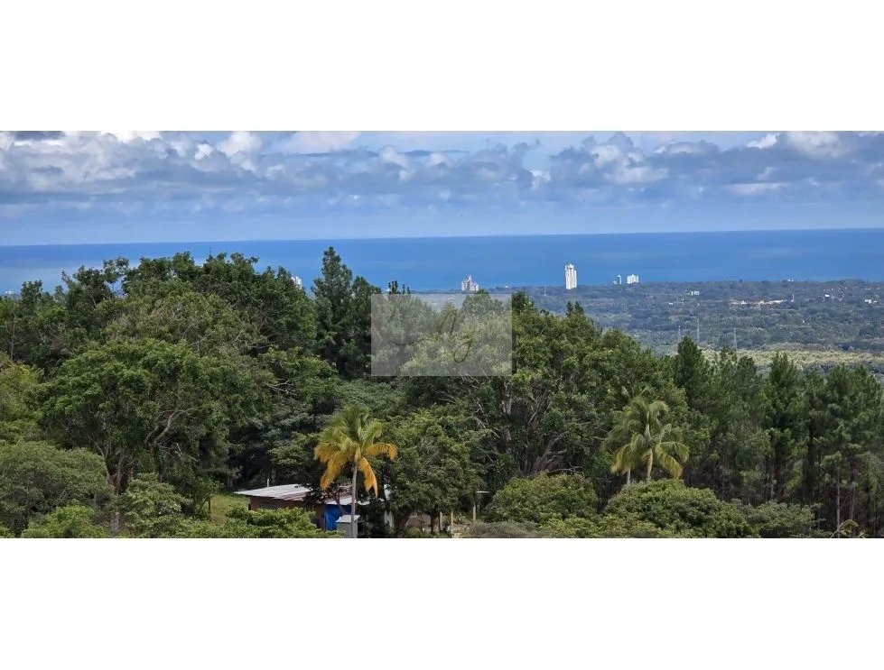 TERRENO EN VENTA | CABUYA, CHAME