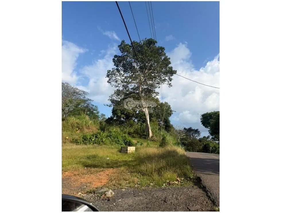 Building Lot for sale in Arraijan