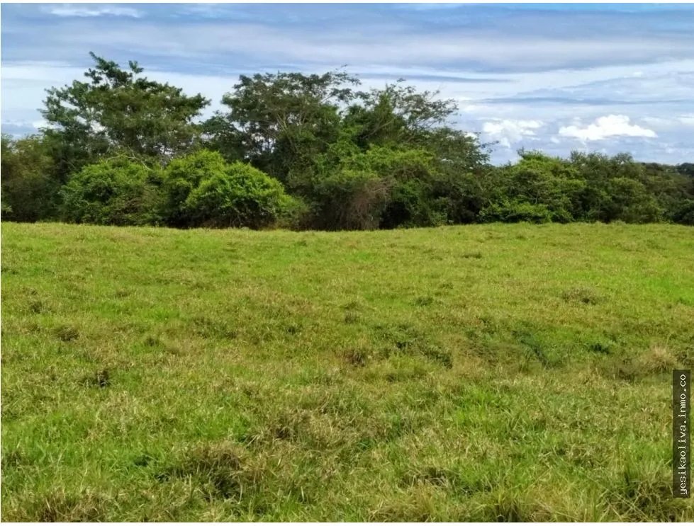 Venta de Lotes en Los Destiladeros, Pedasí