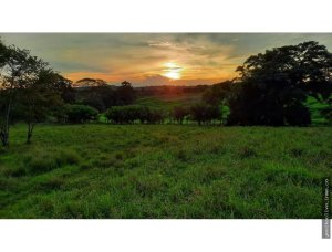 Land Lots for Sale in Los Destiladeros, Pedasí
