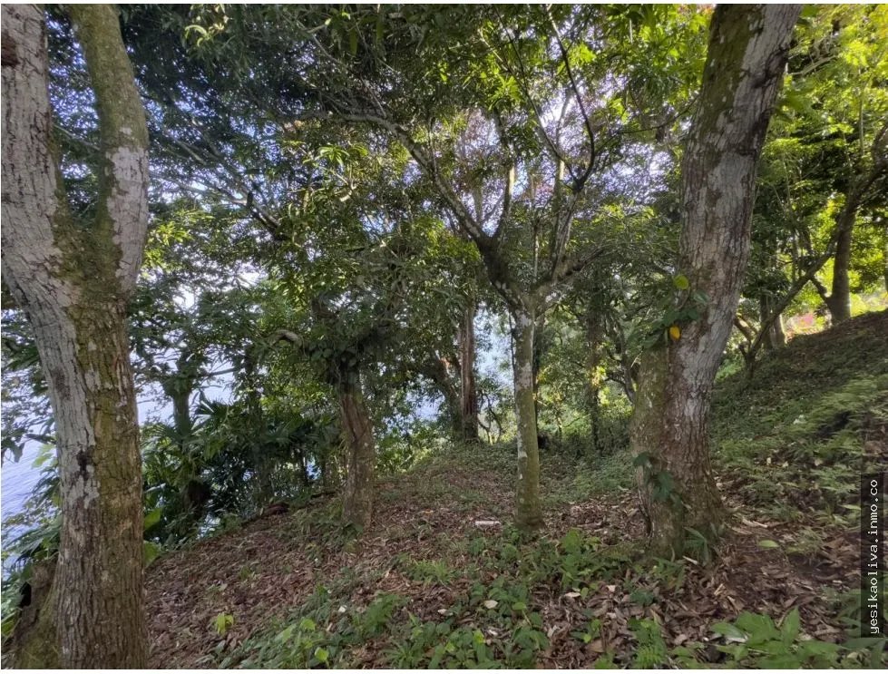 Venta o Alquiler de terreno en Colón, Escobal