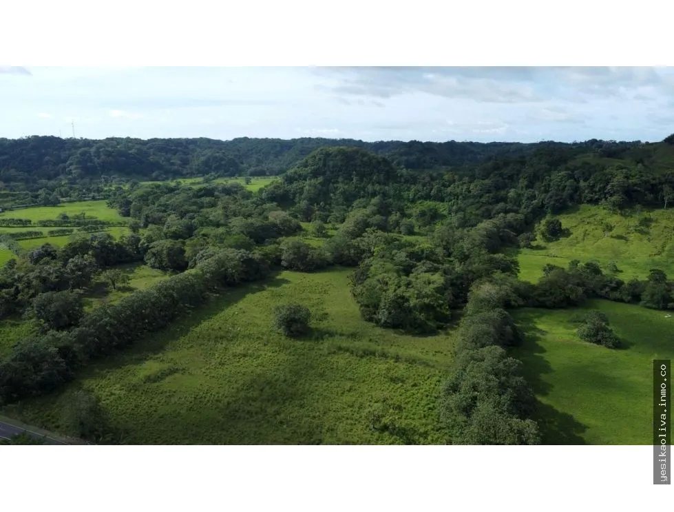 Venta o Alquiler de terreno en Colón, Achiotes