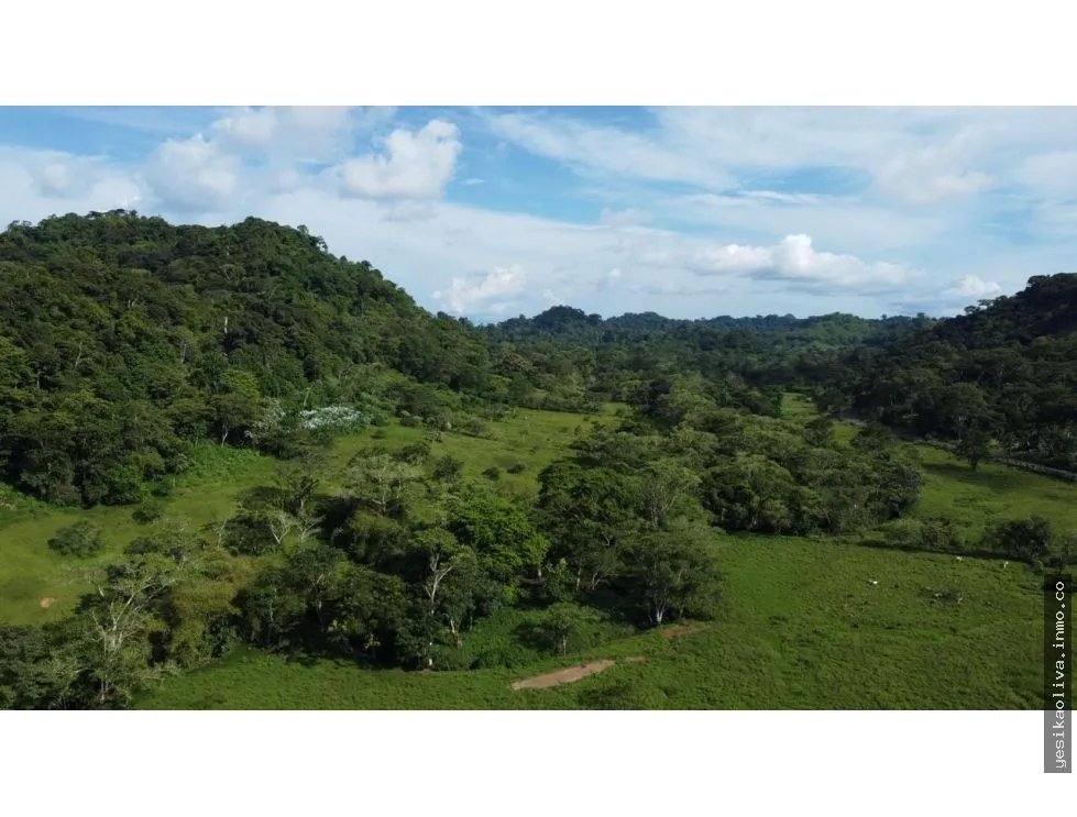 Land for Sale or Lease in Colón, Achiotes