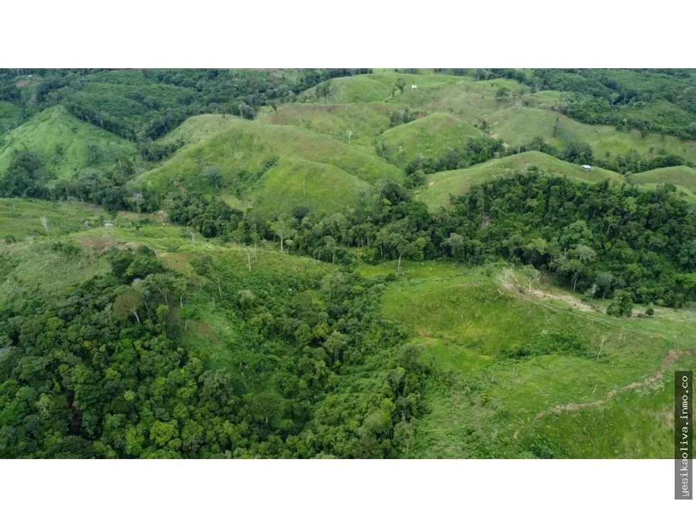 Venta o Alquiler de terreno en Colón, Piña