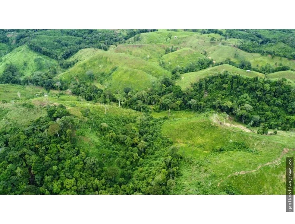 Venta de Terreno en Colón, Achiote
