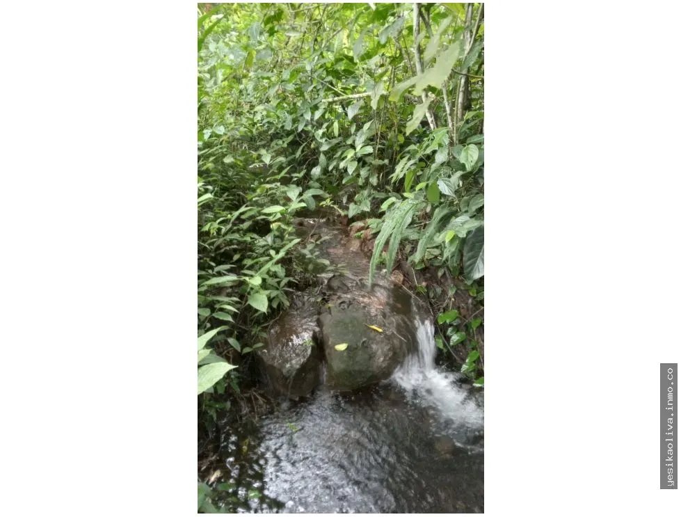 Venta de Terreno en Chiriquí