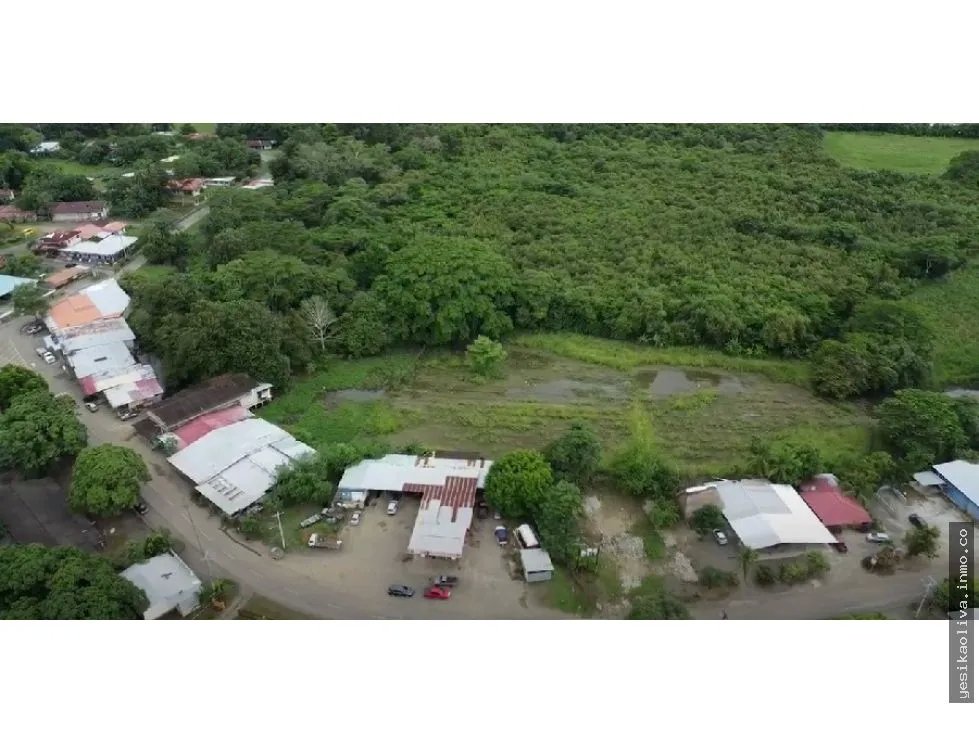 Land Sale with Business, Los Santos Tonosí