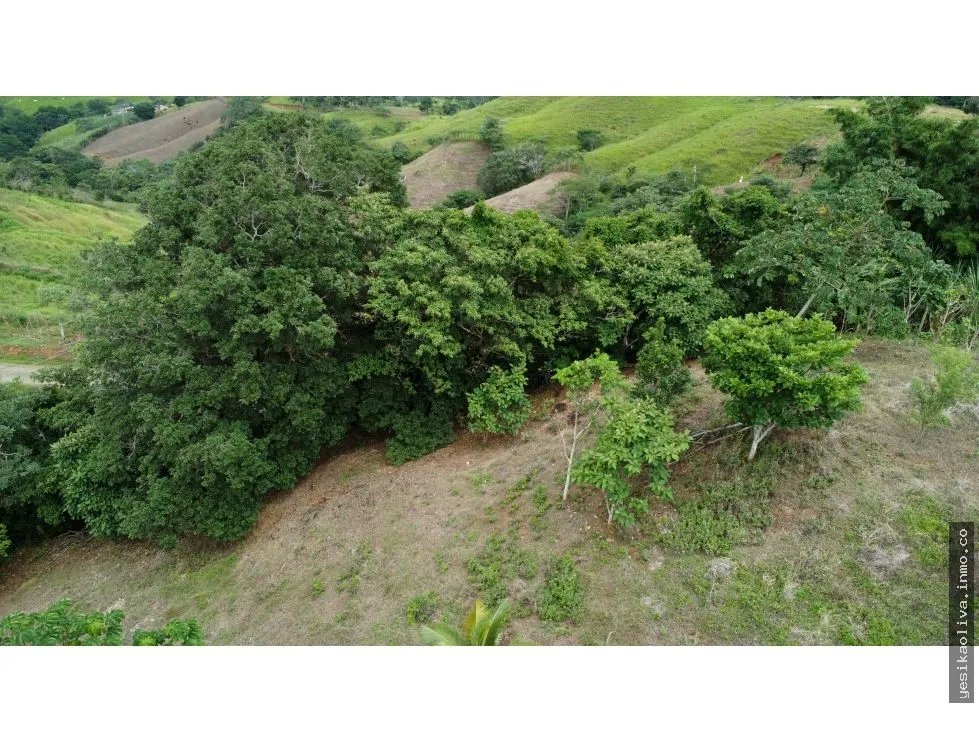 Venta de terreno en El Espavé, Tonosí