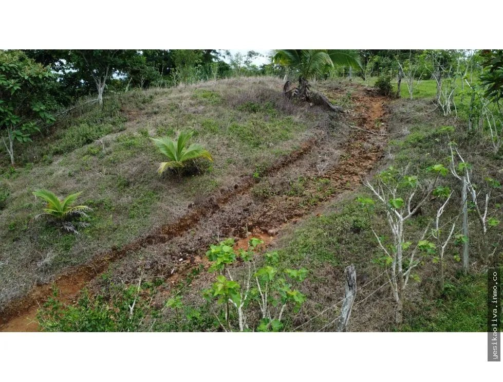 Venta de terreno en El Espavé, Tonosí