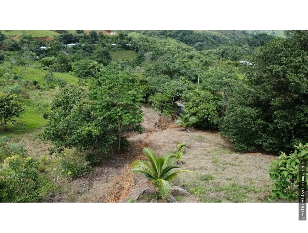 Venta de terreno en El Espavé, Tonosí