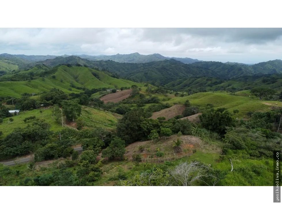Venta de terreno en El Espavé, Tonosí