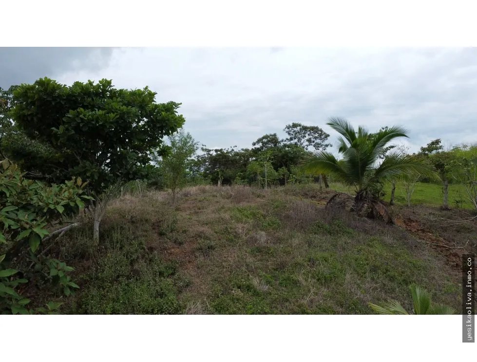 Venta de terreno en El Espavé, Tonosí
