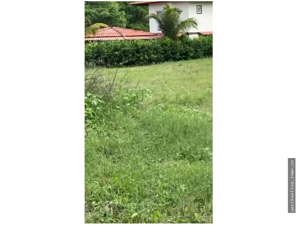 Land Sale in Guanico Abajo, Tonosí
