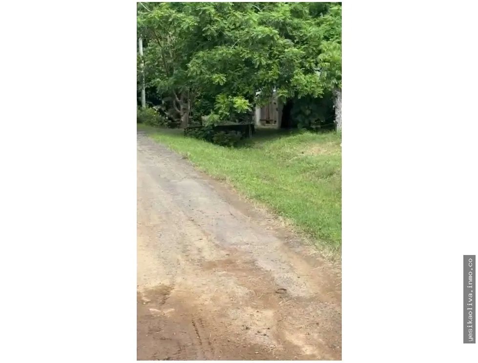 Land Sale in Guanico Abajo, Tonosí