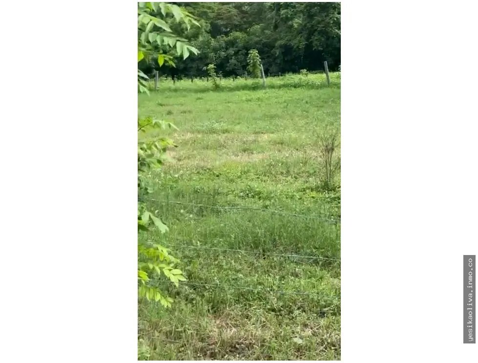 Land Sale in Guanico Abajo, Tonosí