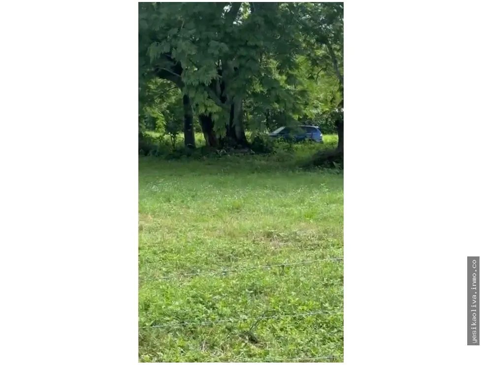 Land Sale in Guanico Abajo, Tonosí