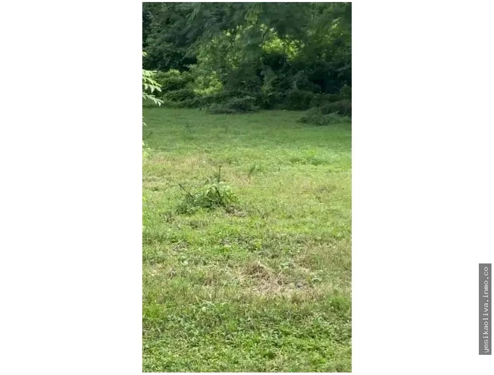 Land Sale in Guanico Abajo, Tonosí