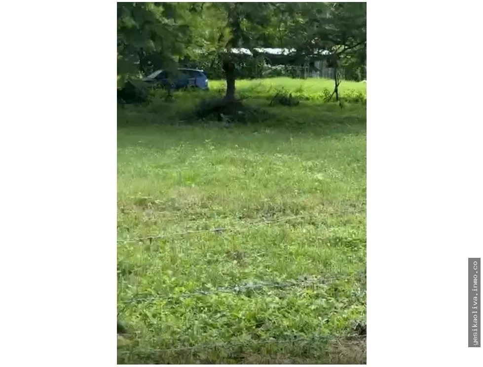 Land Sale in Guanico Abajo, Tonosí