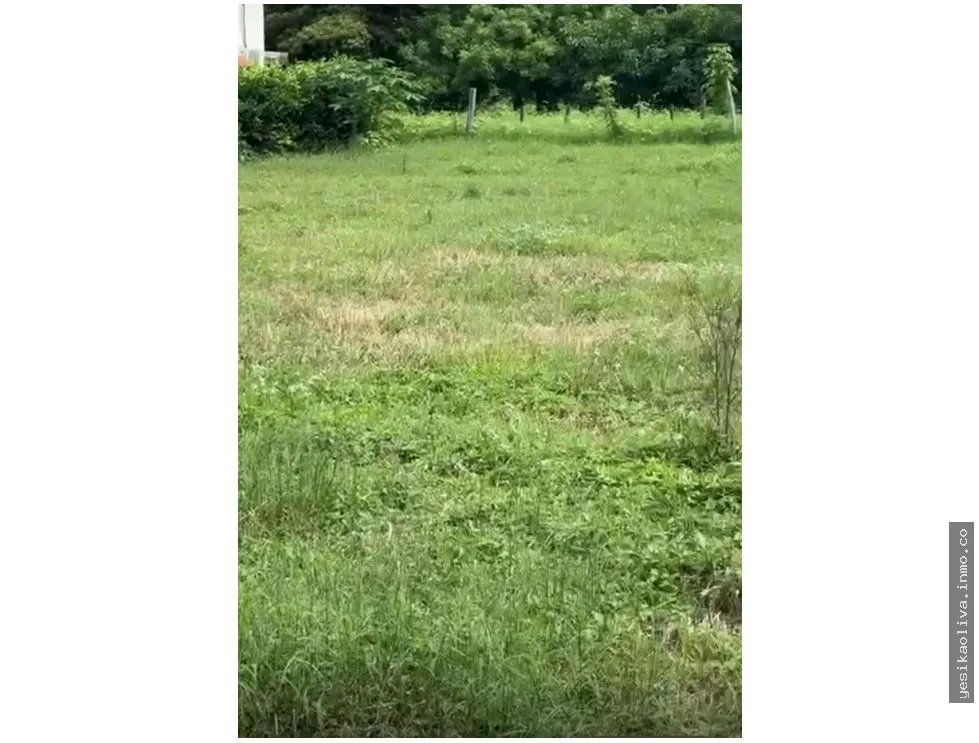 Land Sale in Guanico Abajo, Tonosí