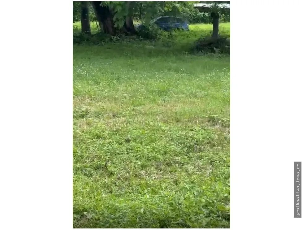 Land Sale in Guanico Abajo, Tonosí
