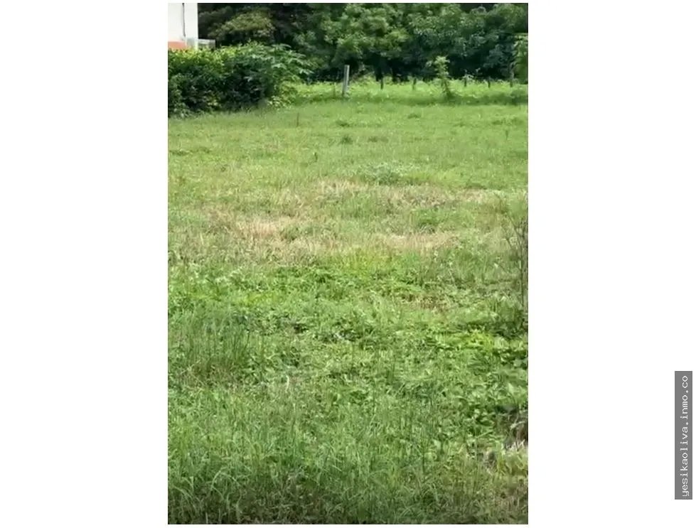 Land Sale in Guanico Abajo, Tonosí