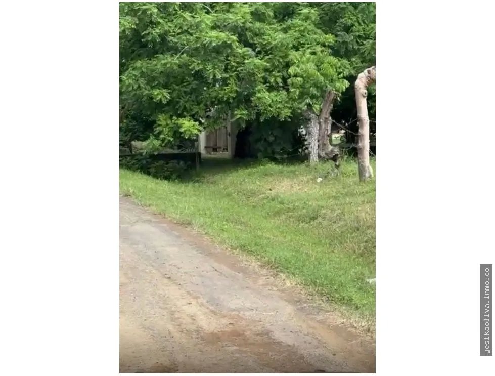 Land Sale in Guanico Abajo, Tonosí