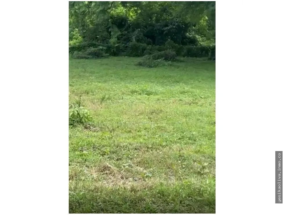 Land Sale in Guanico Abajo, Tonosí