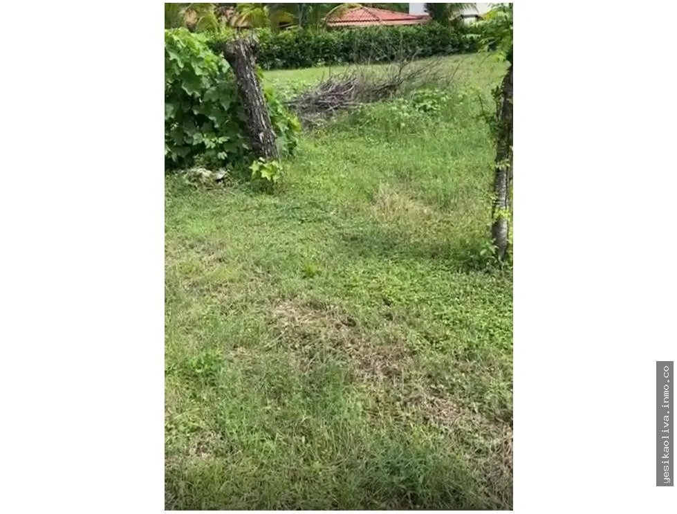Land Sale in Guanico Abajo, Tonosí