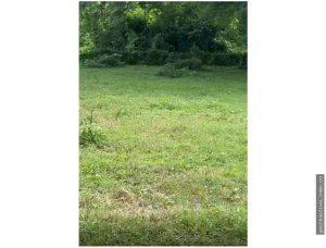 Land Sale in Guanico Abajo, Tonosí