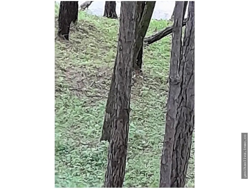 Terreno en Venta, Altos del Maria