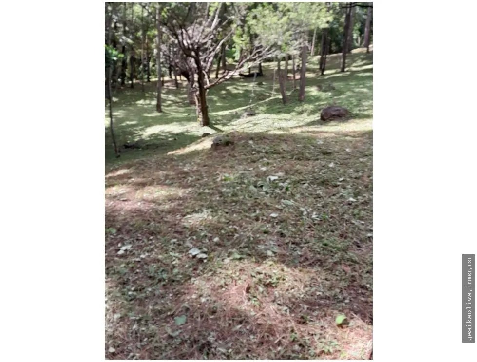 Terreno en Venta, Altos del Maria