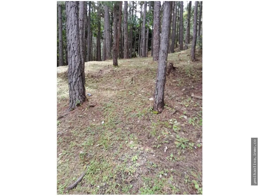 Terreno en Venta, Altos del Maria
