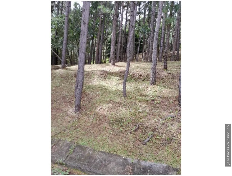 Terreno en Venta, Altos del Maria
