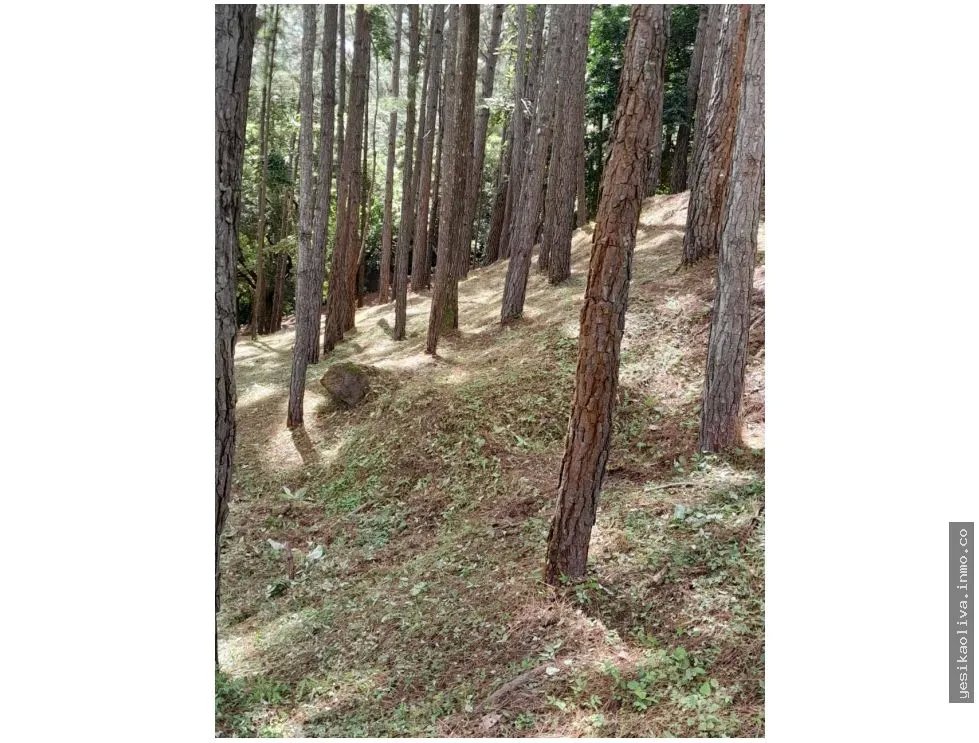 Terreno en Venta, Altos del Maria