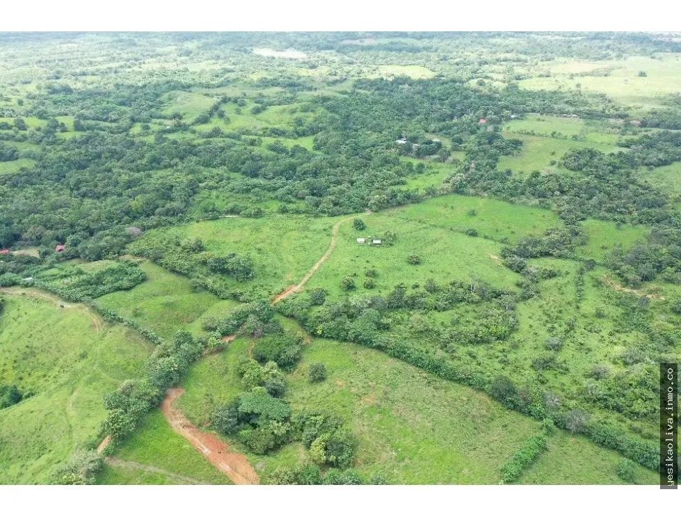 Venta de finca en Tanara, Chepo