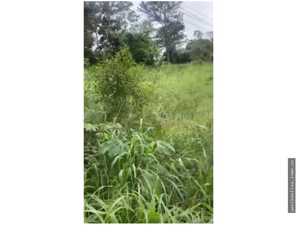 Venta de terreno en Bágala, Chiriquí