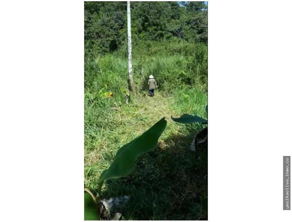 Venta de terreno en Bágala, Chiriquí