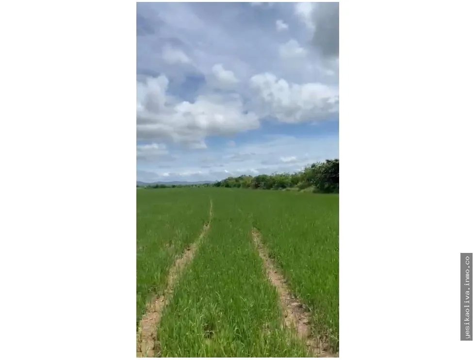 Venta de terreno en Antón, Carretera Panamericana