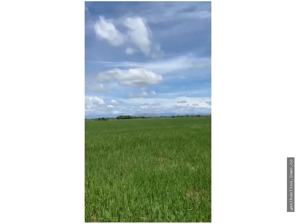 Venta de terreno en Antón, Carretera Panamericana
