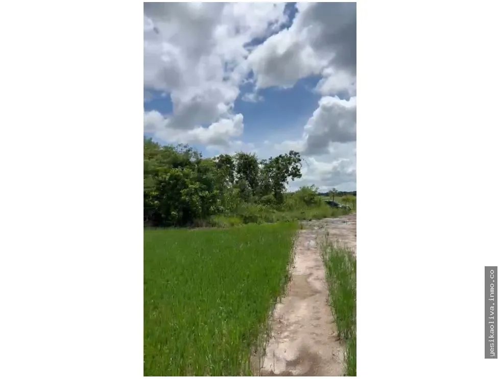 Venta de terreno en Antón, Carretera Panamericana