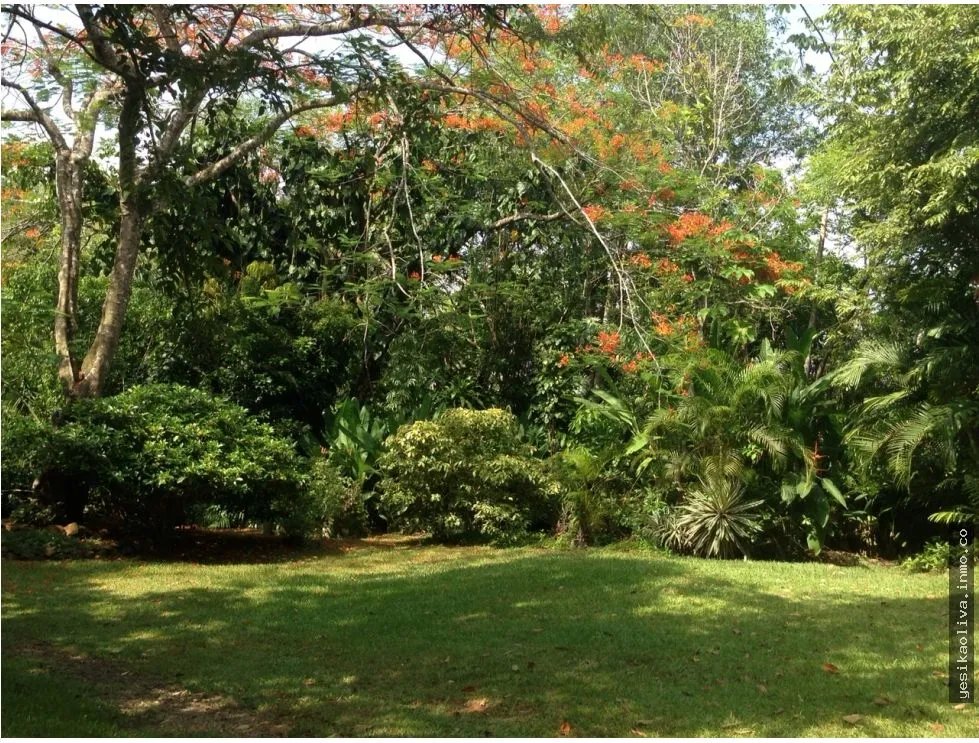 Oportunidad Venta de Terreno en El Lirio de La Chorrera
