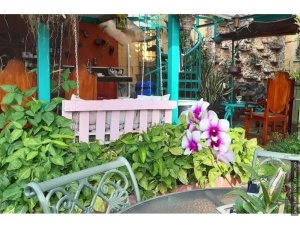 Venta de Terreno con negocio en funcionamiento en Bella Vista