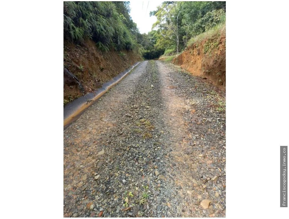 VENDO TERRENO EN CERRO AZUL 55 HECTAREAS