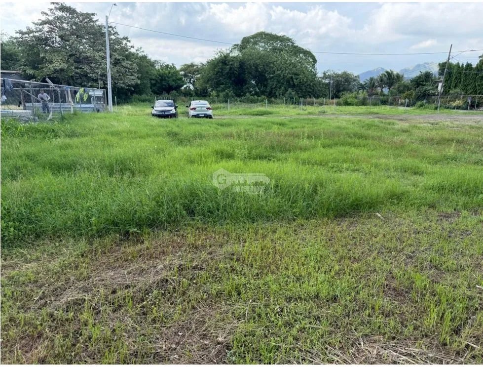GORGONA / PLAYA MALIBU / 550M / FLAT LAND / 1 MINUTE FROM BEACH