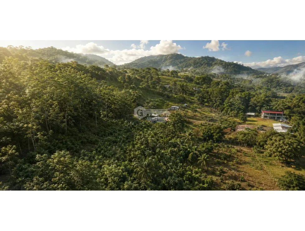 SE VENDE TERRENO EN CAPIRA VILLA CARMEN 5783M  RODEADO DE VEGETACION