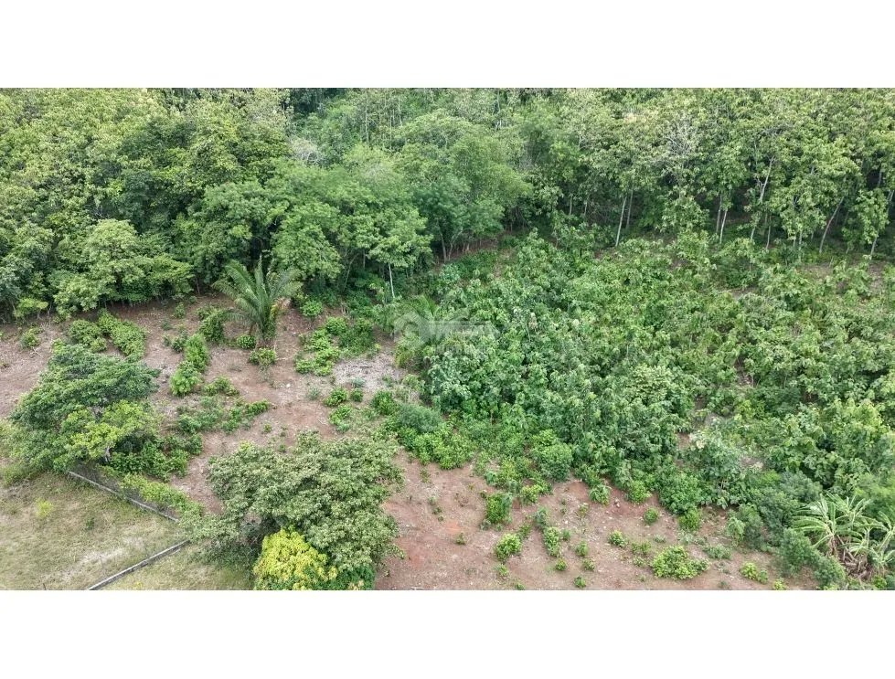 CAPIRA / VILLA CARMEN / 5783M / SPACIOUS LAND / SURROUNDED BY VEGETATI...