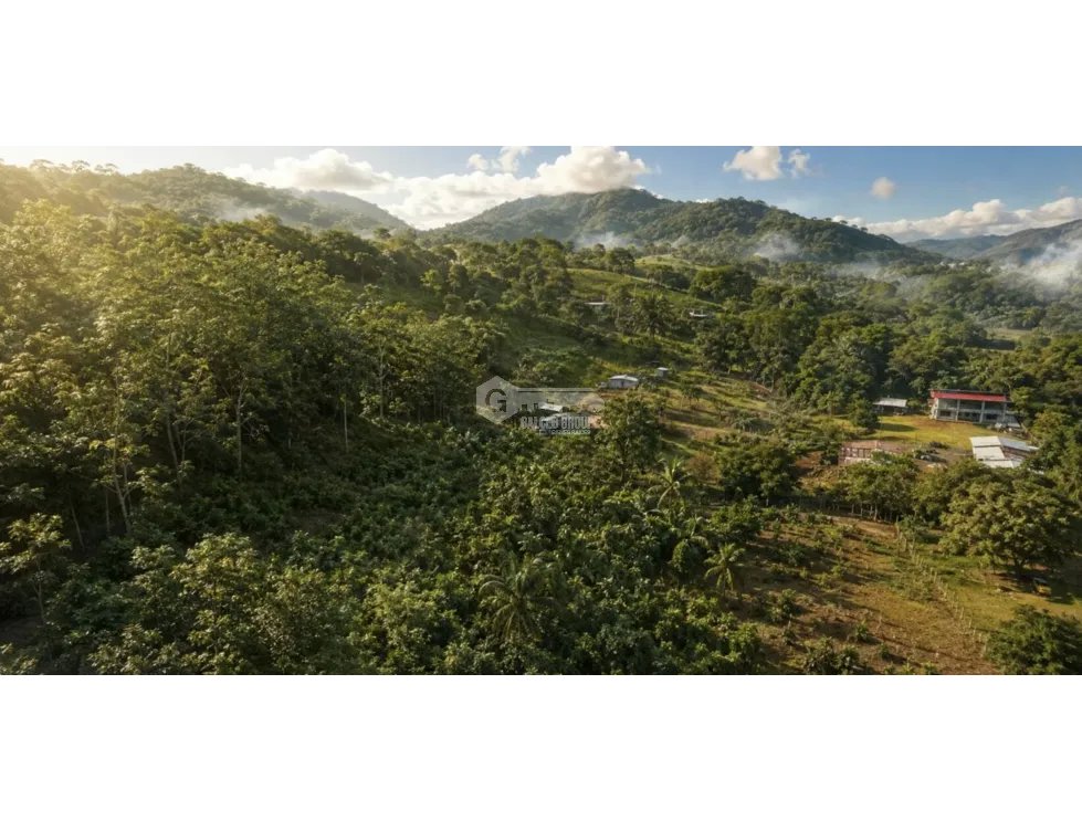 CAPIRA / VILLA CARMEN / 5783M / SPACIOUS LAND / SURROUNDED BY VEGETATION