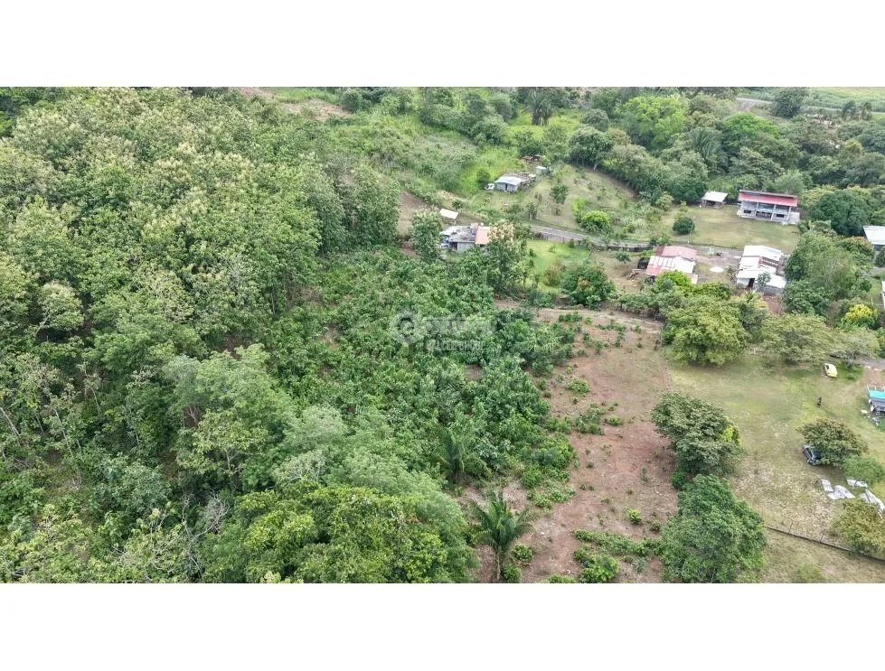 CAPIRA / VILLA CARMEN / 5783M / SPACIOUS LAND / SURROUNDED BY VEGETATION
